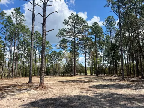 16 SE 136 Ter, Dunnellon, FL 34431