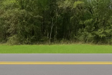 0 Rainbow Lakes Blvd, Dunnellon, FL 34431