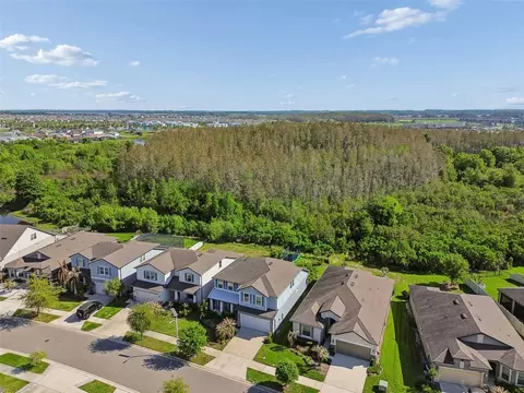 View/Area - 7604 Pool Compass Loop, Wesley Chapel, FL 33545 photo 11 of 20