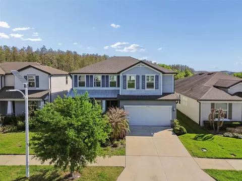 View/Area - 7604 Pool Compass Loop, Wesley Chapel, FL 33545 photo 3 of 20