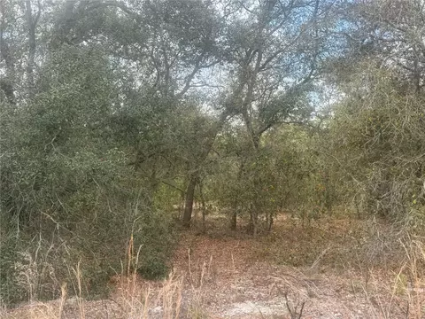 tbd SE 131st Ter, Dunnellon, FL 34431