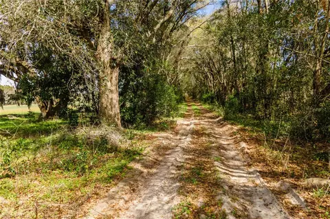 tbd SW 298 St, Newberry, FL 32669