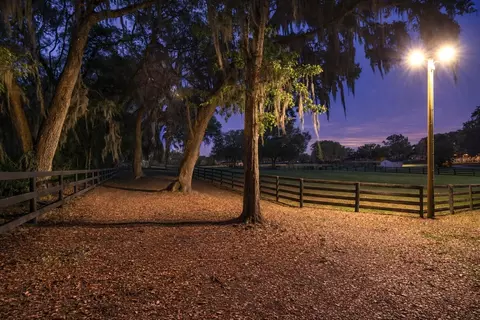 Other - 14650 NW 160th Ave, Williston, FL 32696 photo 6 of 40