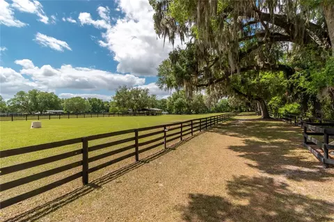 Exterior - 14650 NW 160th Ave, Williston, FL 32696 photo 15 of 23