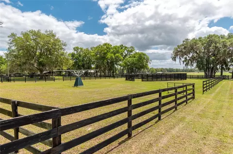 Exterior - 14650 NW 160th Ave, Williston, FL 32696 photo 16 of 23