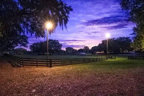 Other - 14650 NW 160th Ave, Williston, FL 32696 photo 7 of 40