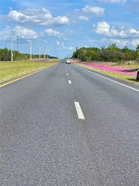 tbd NE Highway 27 Alt, Williston, FL 32696 photo 3