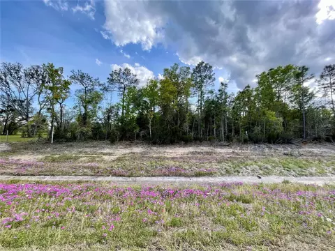 tbd NE Highway 27 Alt, Williston, FL 32696 photo 2