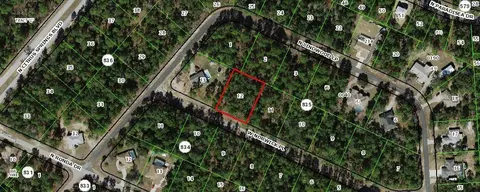 3711 W Norwick Pl, Citrus Springs, FL 34433