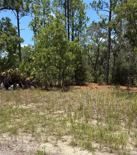 3711 W Norwick Pl, Citrus Springs, FL 34433