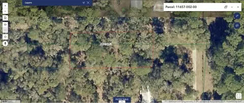 23714 NE 119th Pl, Salt Springs, FL 32134