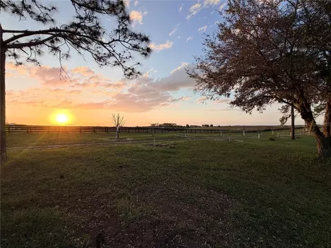 Exterior - 12451 NE 20th St, Williston, FL 32696 photo 2 of 9