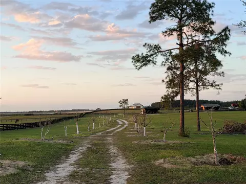 Other - 12451 NE 20th St, Williston, FL 32696 photo 8 of 29