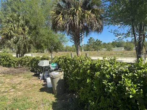 5390 NE 134th Ave, Williston, FL 32696 photo 4