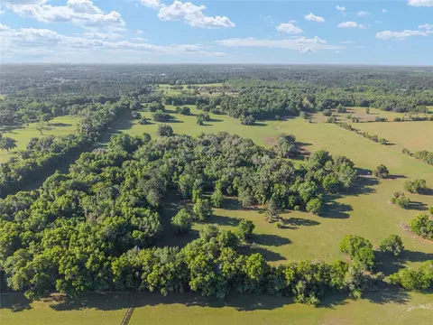 6405 NW 165th St, Reddick, FL 32686 photo 15
