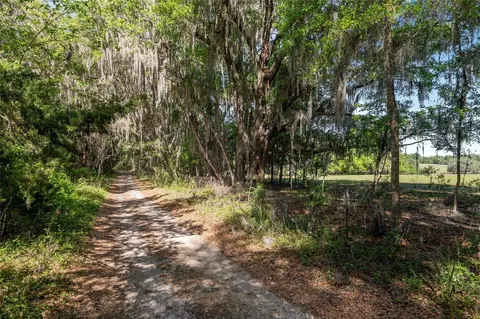 6405 NW 165th St, Reddick, FL 32686 photo 13