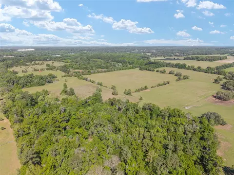 6405 NW 165th St, Reddick, FL 32686 photo 9