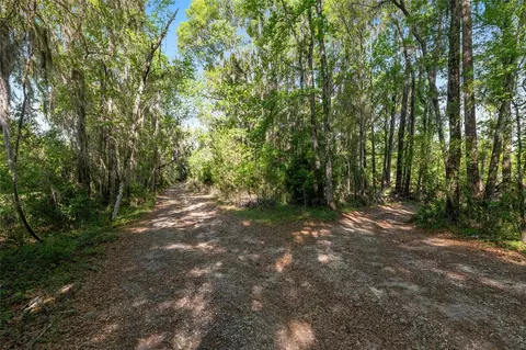 6405 NW 165th St, Reddick, FL 32686 photo 12