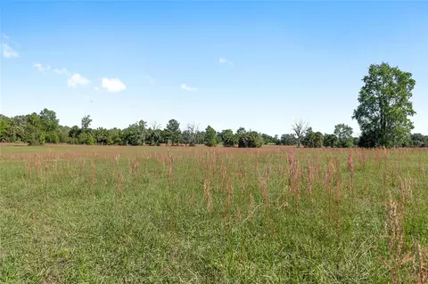 6405 NW 165th St, Reddick, FL 32686 photo 11