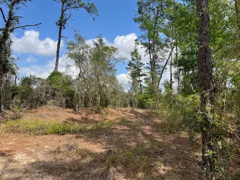 10 Th St SE, Williston, FL 32696 photo 16