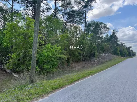 10 Th St SE, Williston, FL 32696 photo 19