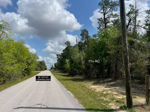 10 Th St SE, Williston, FL 32696 photo 14