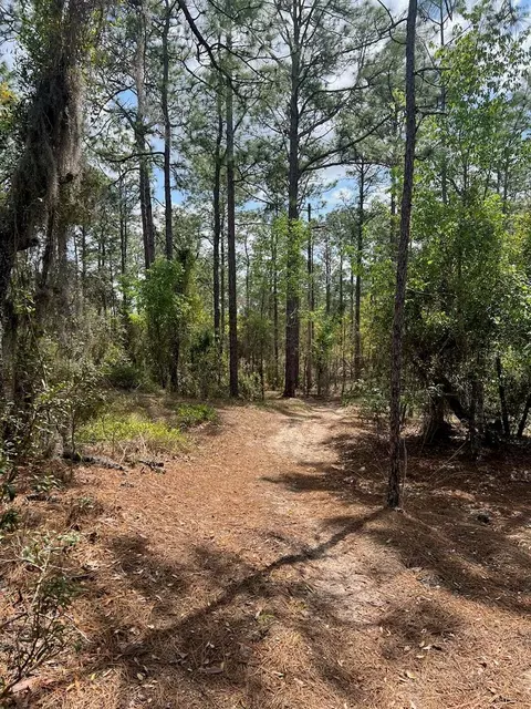 10 Th St SE, Williston, FL 32696