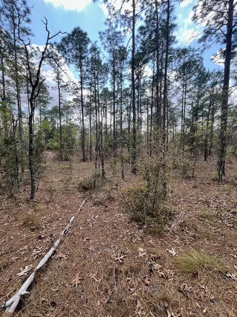 10 Th St SE, Williston, FL 32696 photo 18