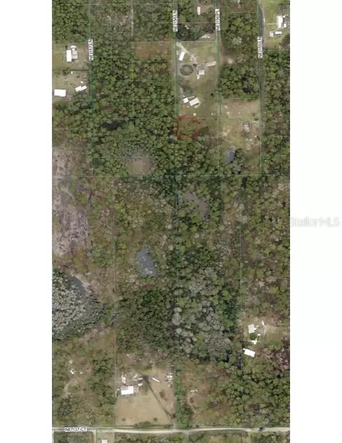 tbd NE 156 Ln, Fort Mc Coy, FL 32134