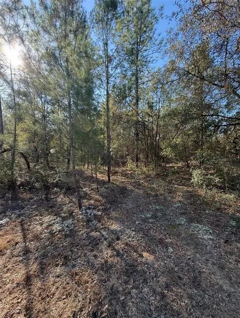 Tbt 5th Way, Interlachen, FL 32148 photo 11