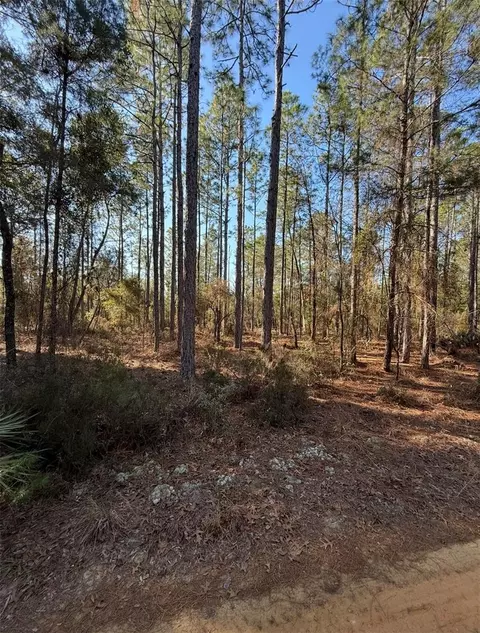 Tbt 5th Way, Interlachen, FL 32148 photo 8