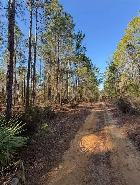 Tbt 5th Way, Interlachen, FL 32148 photo 7