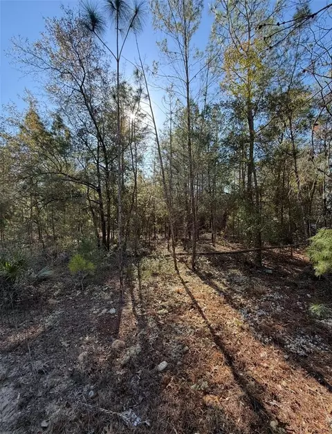 Tbt 5th Way, Interlachen, FL 32148 photo 10