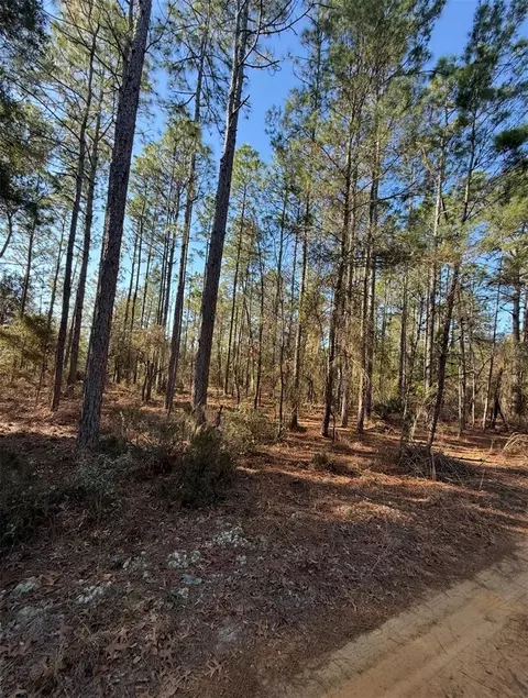 Tbt 5th Way, Interlachen, FL 32148 photo 5