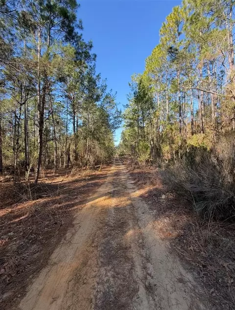 Tbt 5th Way, Interlachen, FL 32148 photo 4
