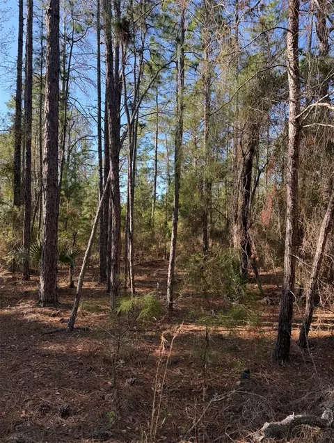 Tbt 5th Way, Interlachen, FL 32148 photo 12