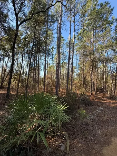 Tbt 5th Way, Interlachen, FL 32148 photo 6
