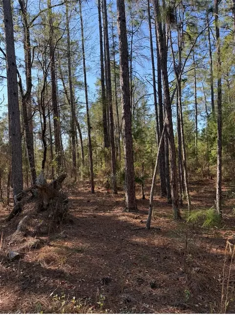 Tbt 5th Way, Interlachen, FL 32148 photo 9
