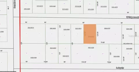 111 Edgewood Dr, Georgetown, FL 32139
