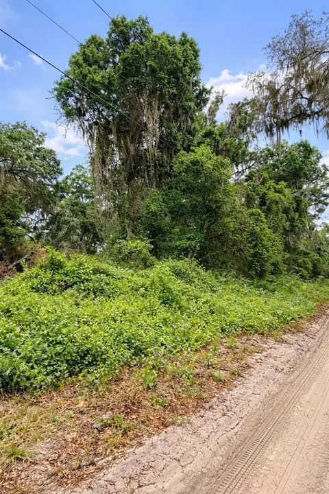 tbd NE 52nd Ct, Anthony, FL 32617 photo 3