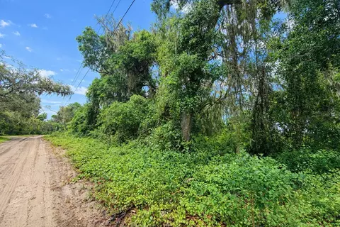 tbd NE 52nd Ct, Anthony, FL 32617 photo 5
