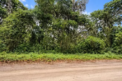 tbd NE 52nd Ct, Anthony, FL 32617 photo 2