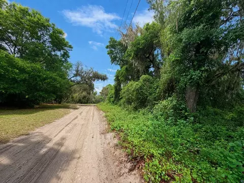 tbd NE 52nd Ct, Anthony, FL 32617 photo 6
