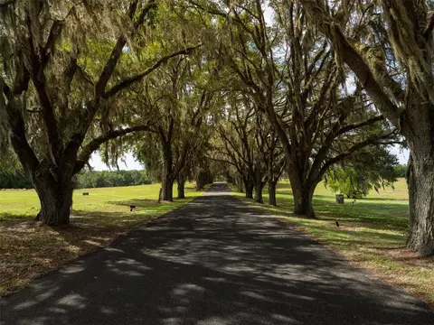 tbd SE 111th Pl, Ocala, FL 34480 photo 5