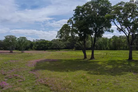 tbd SE 111th Pl, Ocala, FL 34480 photo 9