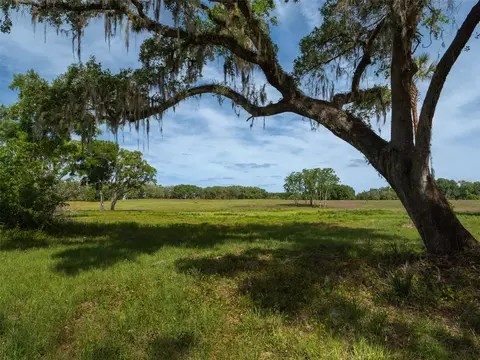 tbd SE 111th Pl, Ocala, FL 34480 photo 13