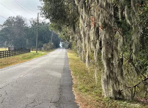 NW 160th Street, Reddick, FL 32686 photo 10