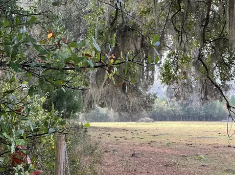 NW 160th Street, Reddick, FL 32686 photo 6
