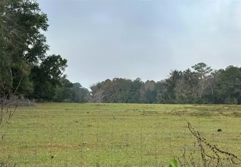 NW 160th Street, Reddick, FL 32686 photo 4