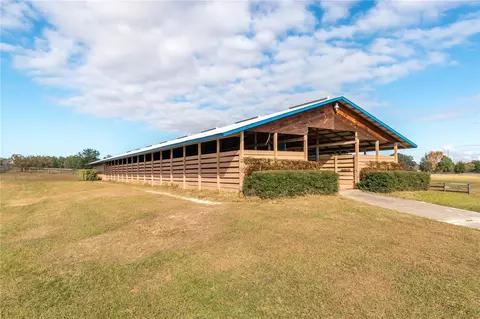 Other - 5100 W Hwy 329, Reddick, FL 32686 photo 2 of 14